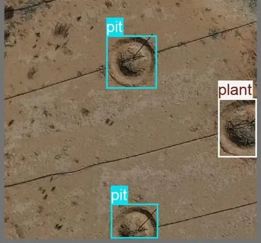 Drone view of arid terrain with the trained model boxing two planting pits and a plant